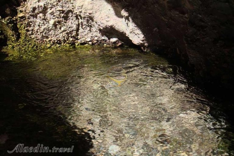 Alaedin-Travel-Company-Attraction-Damghan-Gholghol-Spring-1